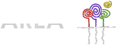AREA